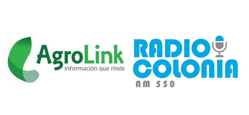 TOTALMEDIOS - Agrolink Radio en En Radio Colonia AM 550